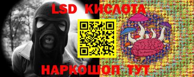 СК Сланцы