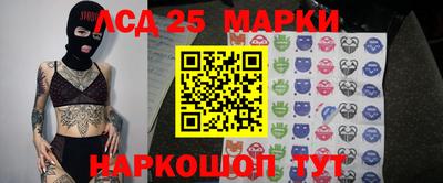 СК Сланцы