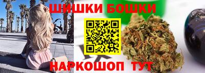 СК Сланцы