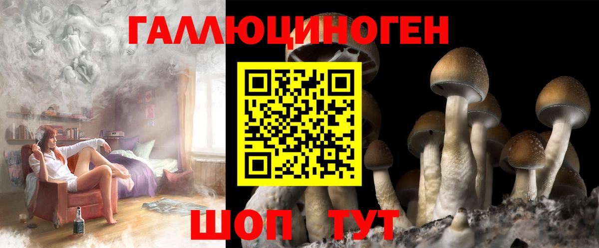 Галлюциногенные грибы прущие грибы  Псилоцибиновые грибы Psilocybine cubensis  Муром  Вход с VPN 
